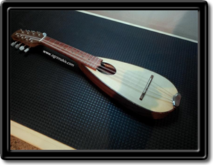 Pocket mandolin